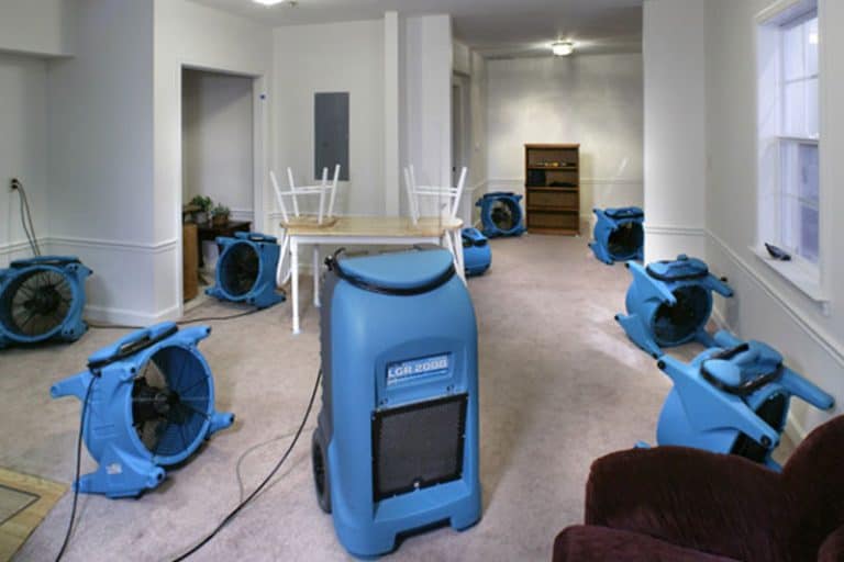 8 Advantages of Dehumidifier Hire for Optimal Indoor Environments